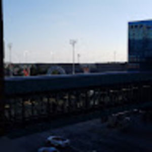 Meet your Posher, Maddy